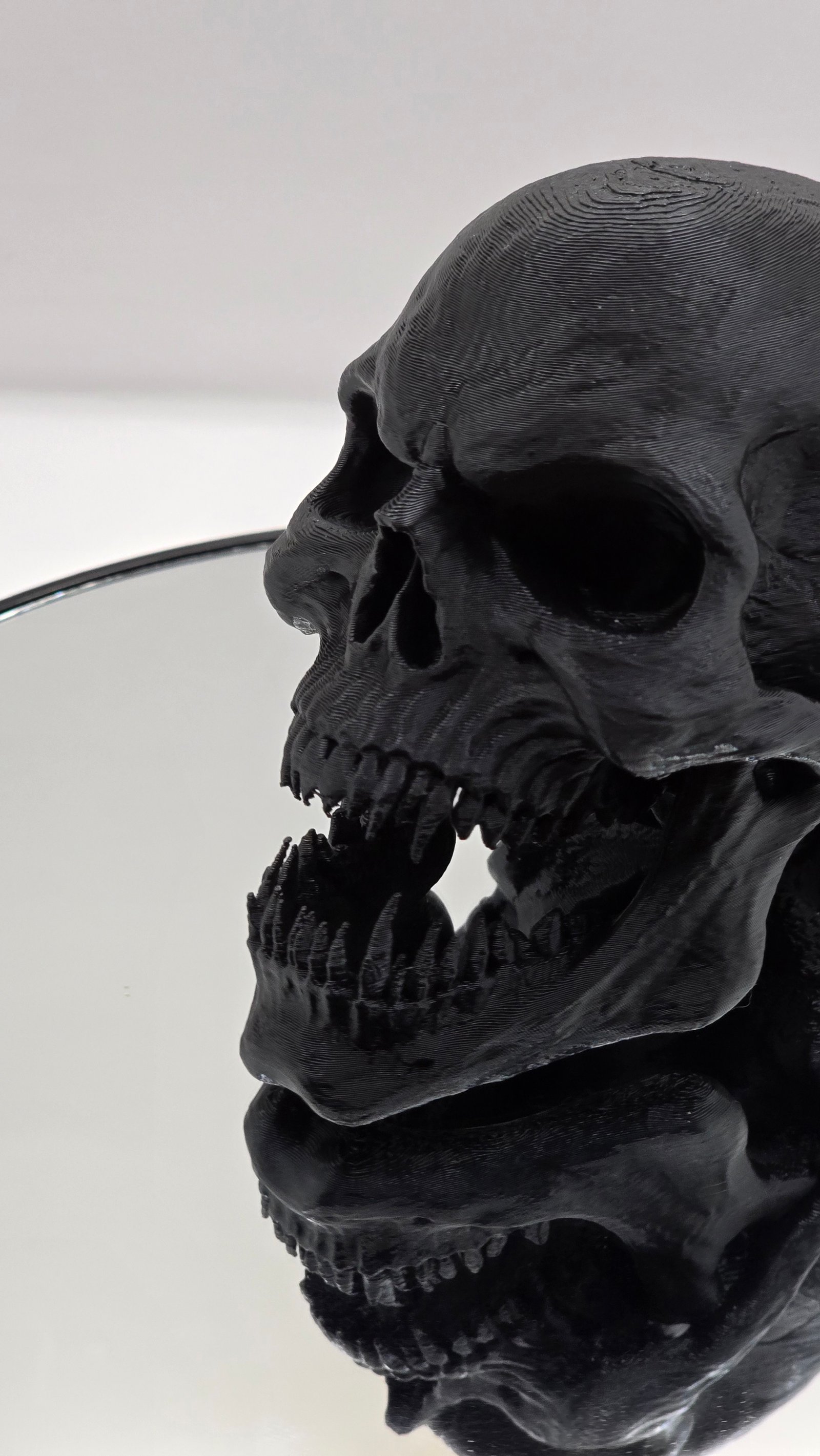 Preview Craniu negru