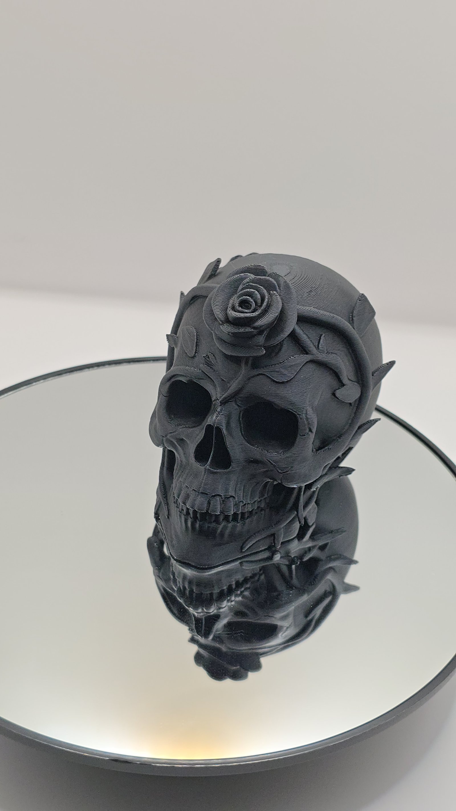 Preview Craniu spini