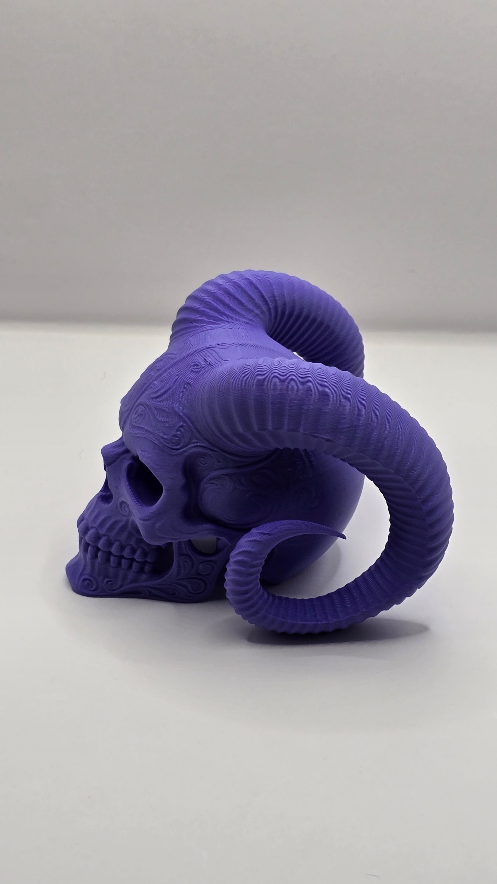 Preview Horned Skull