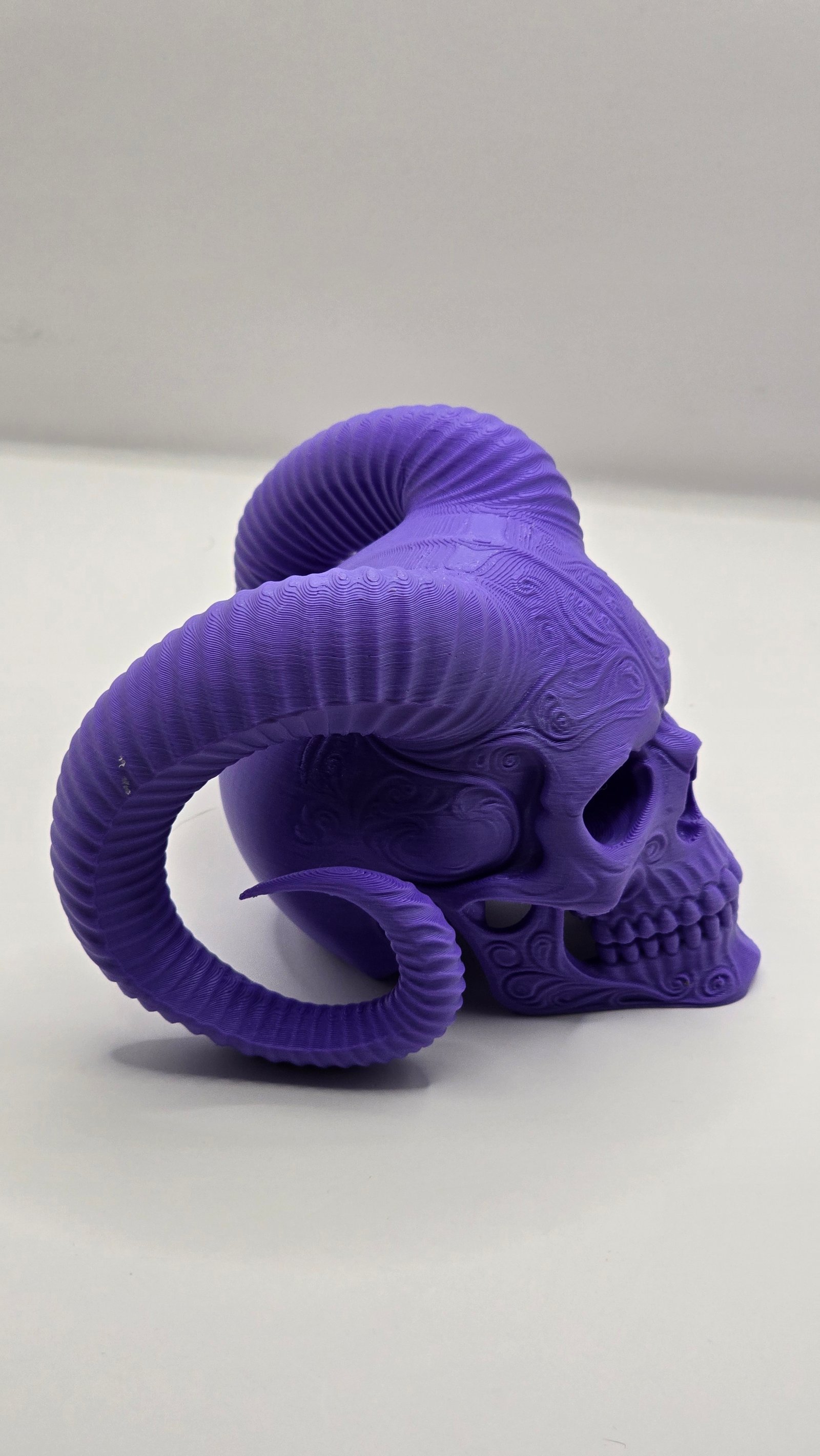 Preview Horned Skull