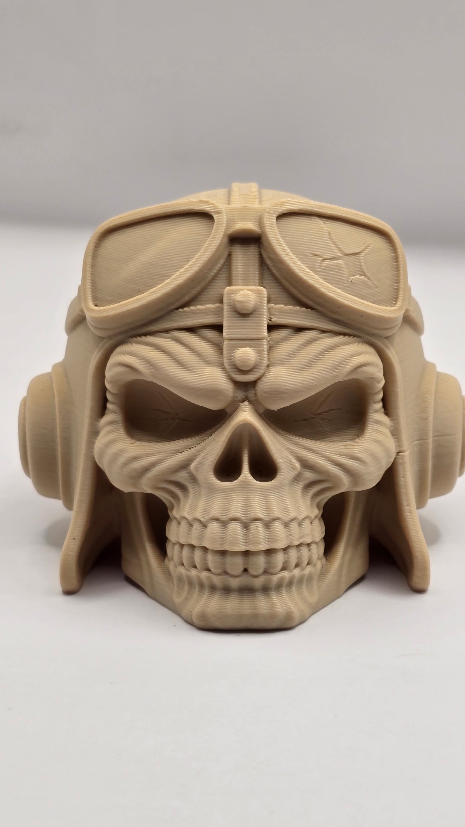 Pilot skull