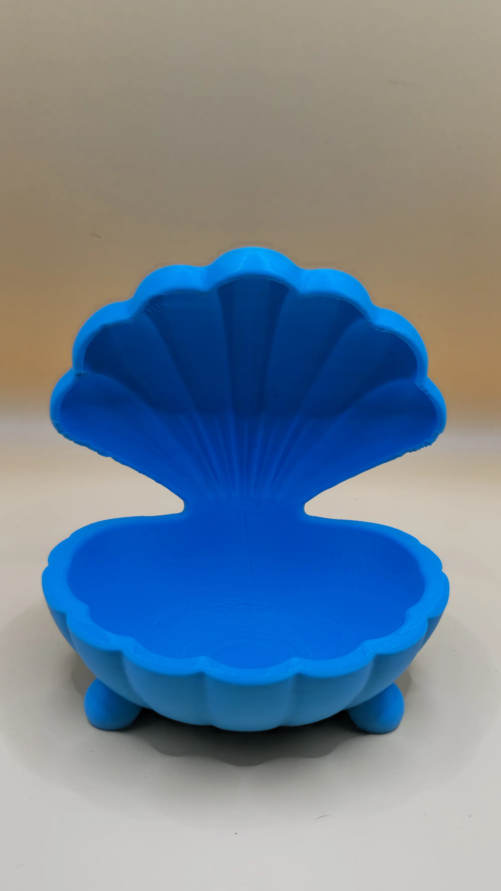 Seashell Jewelry Box