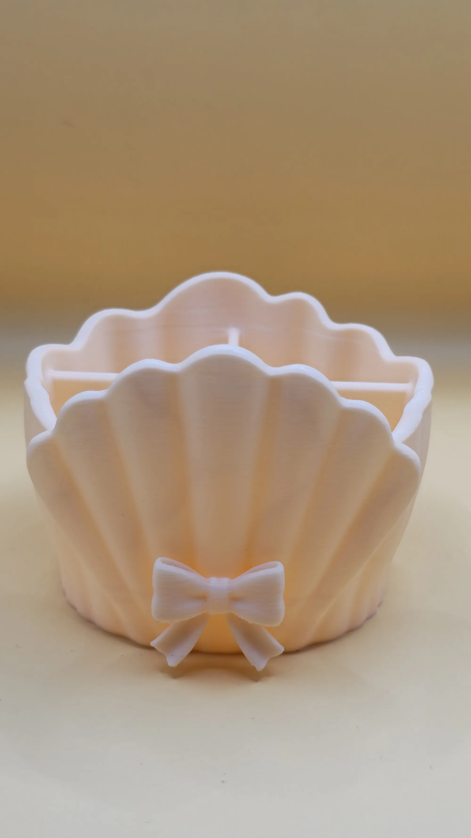 Shell Makeup Organizer