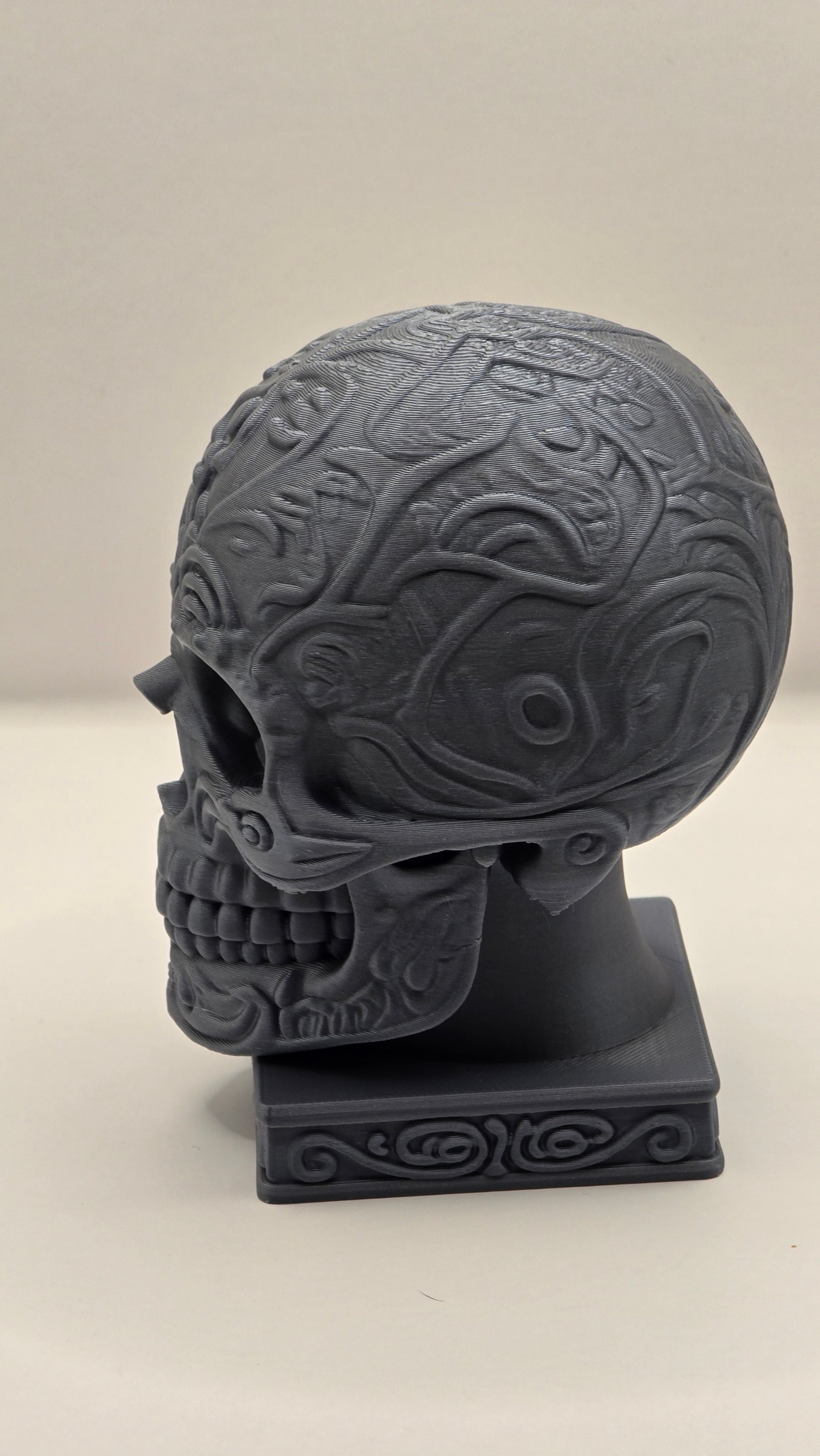 Preview Skull Bust